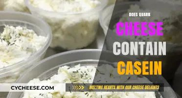 Does Quark Cheese Contain Casein? A Detailed Nutritional Breakdown