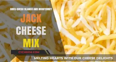 Queso Blanco and Monterey Jack: The Perfect Melty Cheese Blend?