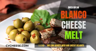 Queso Blanco Cheese Melting Secrets Revealed