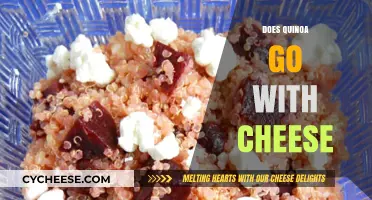 Quinoa and Cheese: A Perfect Pairing or Culinary Clash?
