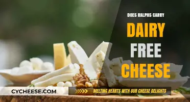 Ralphs Dairy-Free Cheese Options: What You Need to Know
