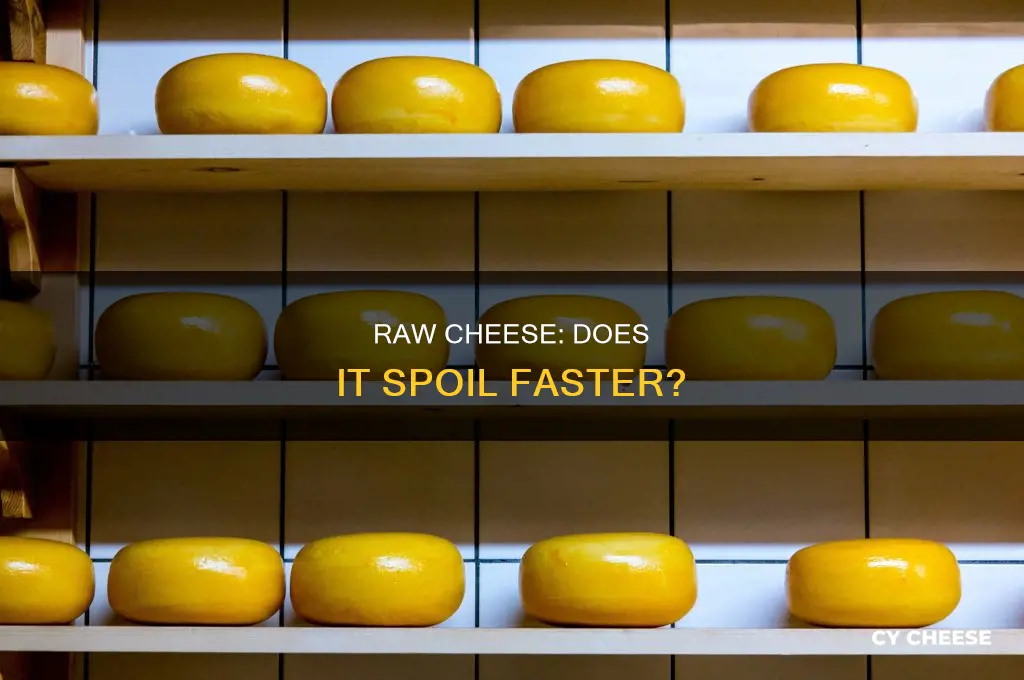 does raw cheese go bad quicker