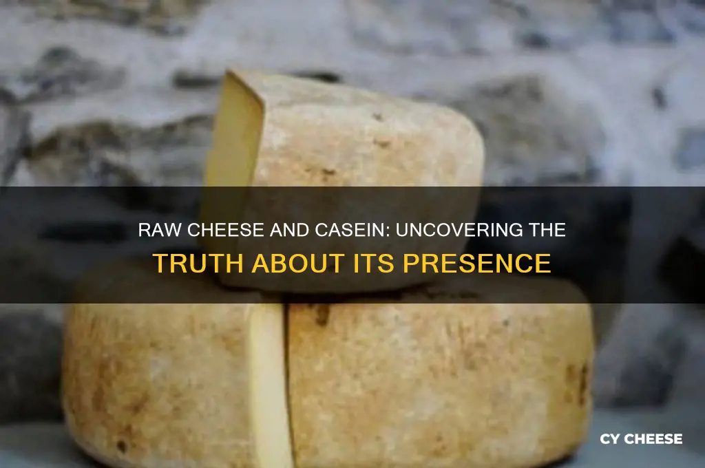does raw cheese have casein