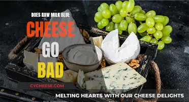 Raw Milk Blue Cheese: Does It Go Bad?