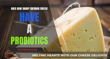 Cheese Probiotics: Uncovering the Cheddar's Gut-Friendly Secrets