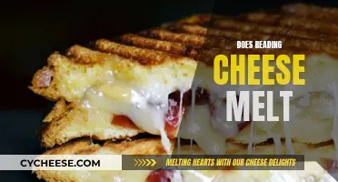 Cheese Melting Mystery: Reading's Impact on Dairy