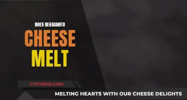 Reggianito Cheese: Melting Point and Tips