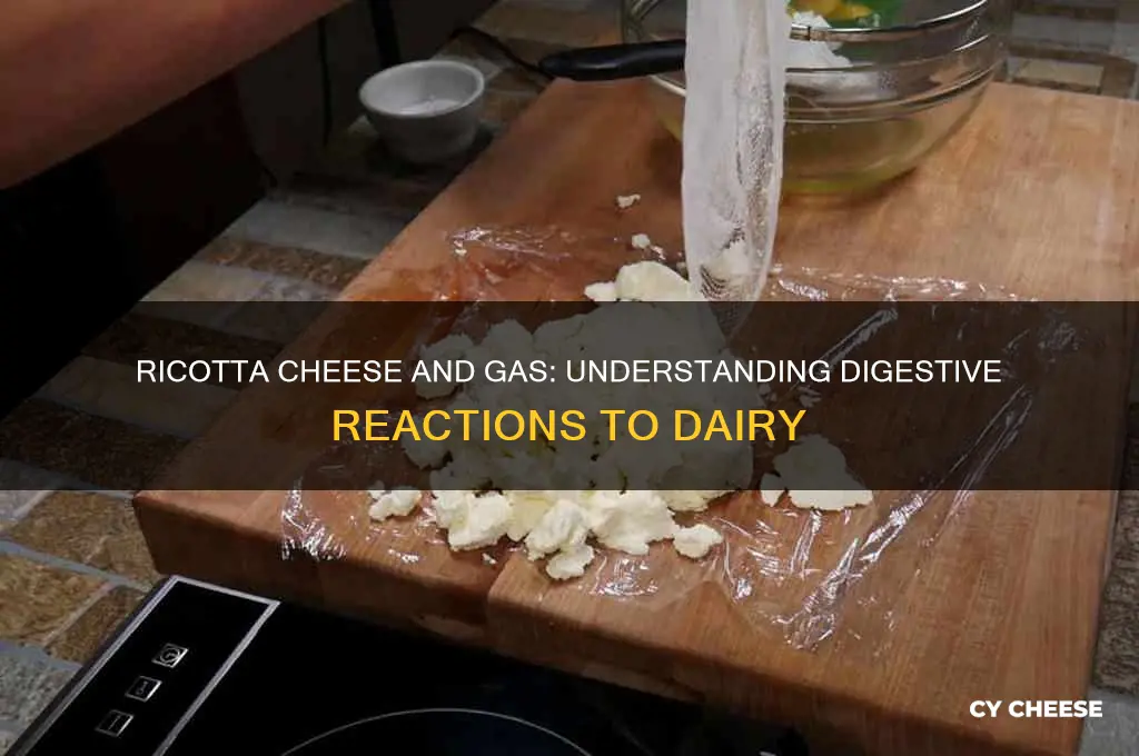 does ricotta cheese cause gas