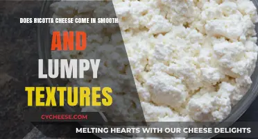 Smooth or Lumpy: Exploring Ricotta Cheese's Varied Textures