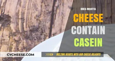 Ricotta Cheese and Casein: Understanding Its Protein Content