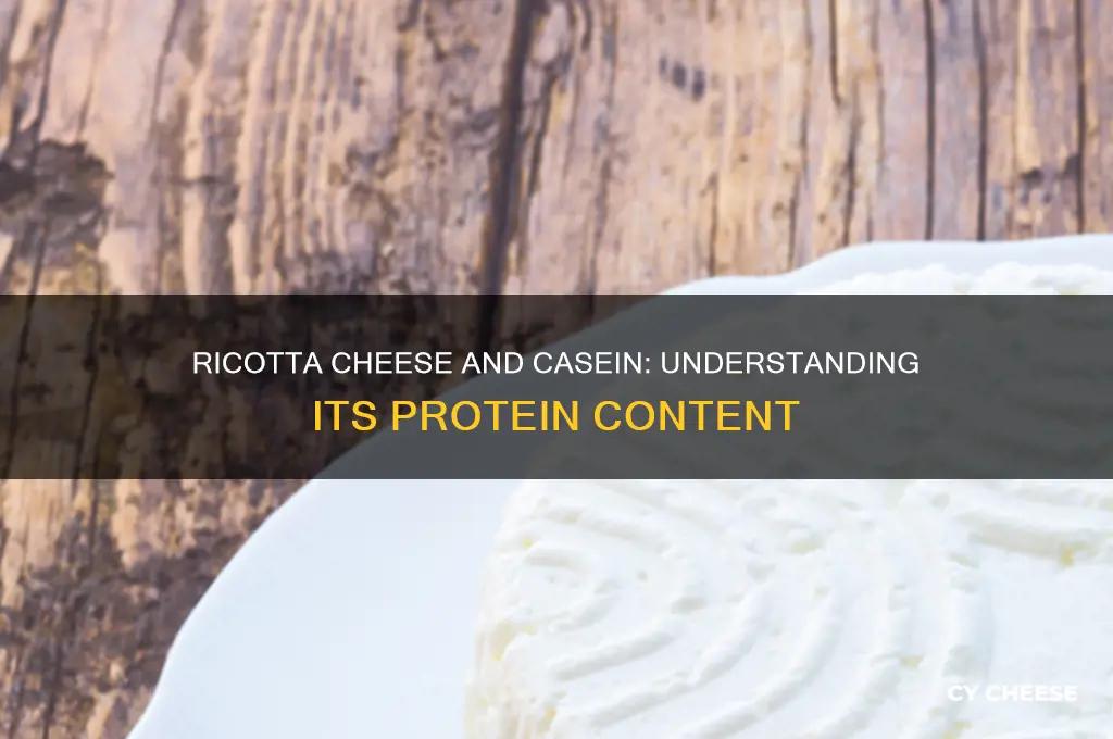 does ricotta cheese contain casein