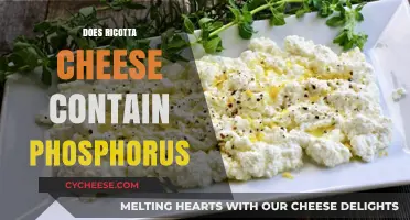 Does Ricotta Cheese Contain Phosphorus? A Nutritional Breakdown