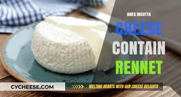 Does Ricotta Cheese Contain Rennet? Uncovering the Truth Behind Its Production