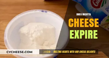 Does Ricotta Cheese Expire? Shelf Life, Storage Tips, and Safety
