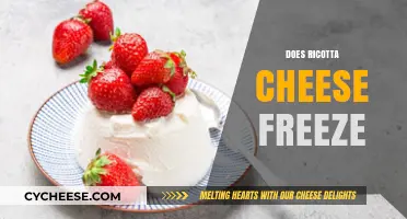 Can You Freeze Ricotta Cheese? A Complete Guide to Storing It