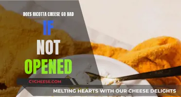 Ricotta Cheese: How Long Does It Last?