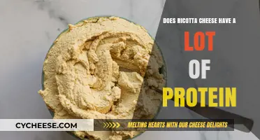 Ricotta Cheese Protein Content: Is It a High-Protein Choice?