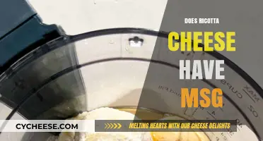 Does Ricotta Cheese Contain MSG? Uncovering the Truth About Additives