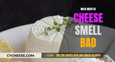 Ricotta Cheese: Why Does It Smell So Bad?