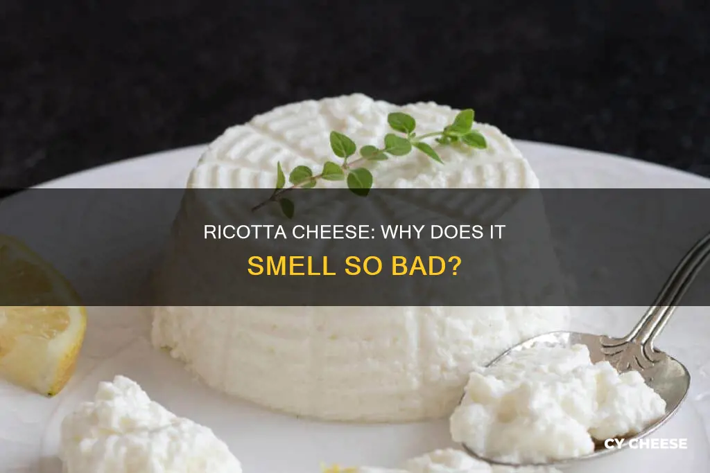 does ricotta cheese smell bad