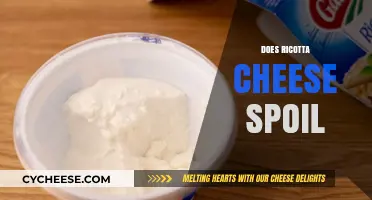 Does Ricotta Cheese Spoil? Shelf Life, Signs, and Storage Tips