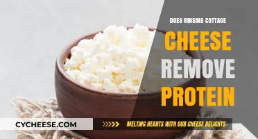 Does Rinsing Cottage Cheese Reduce Protein Content? Facts Revealed