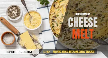 Romano Cheese Melting: The Ultimate Guide