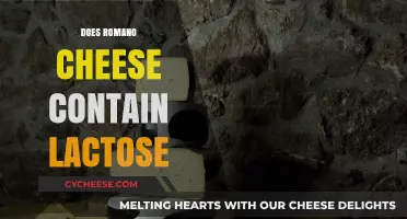 Does Romano Cheese Contain Lactose? A Comprehensive Guide