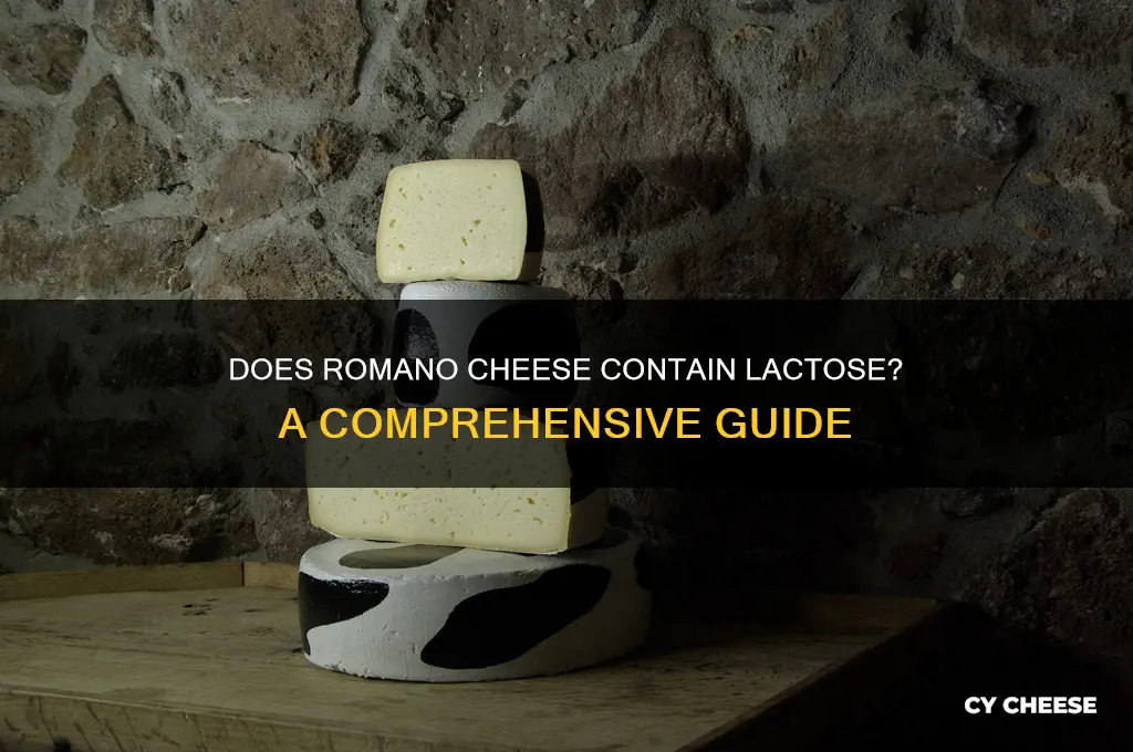 does romano cheese contain lactose