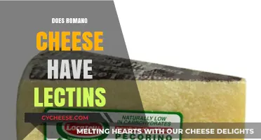 Romano Cheese and Lectins: Uncovering the Truth About This Cheese