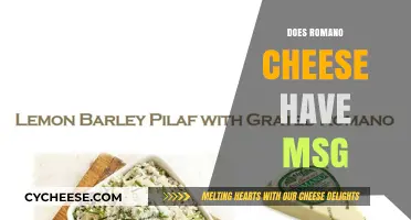 Does Romano Cheese Contain MSG? Uncovering the Truth About Ingredients