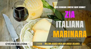 Does Romano Cheese Contain Rennet? Zia Italiana Marinara Insights