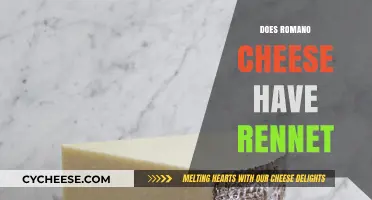 Does Romano Cheese Contain Rennet? A Comprehensive Guide
