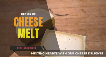 Romano Cheese Melting Secrets: A Guide to Melting Perfection
