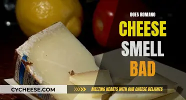 Romano Cheese: Why Does It Smell So Bad?