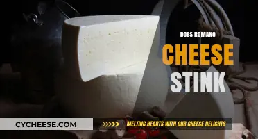 Does Romano Cheese Stink? Uncovering the Truth Behind Its Pungent Aroma