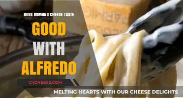 Romano Cheese: The Secret to Delicious Alfredo