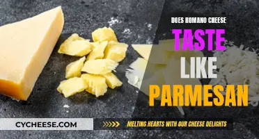 Romano Cheese and Parmesan: Similar or Distinctive?