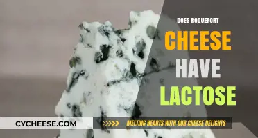 Does Roquefort Cheese Have Lactose? Unraveling the Truth for Cheese Lovers