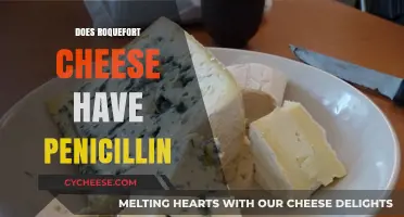 Does Roquefort Cheese Contain Penicillin? Unraveling the Fungal Mystery