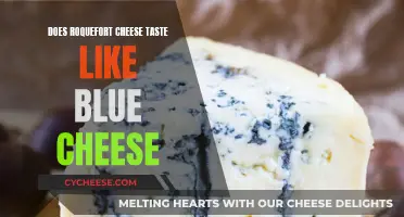 The Taste of Roquefort: Like Blue Cheese?