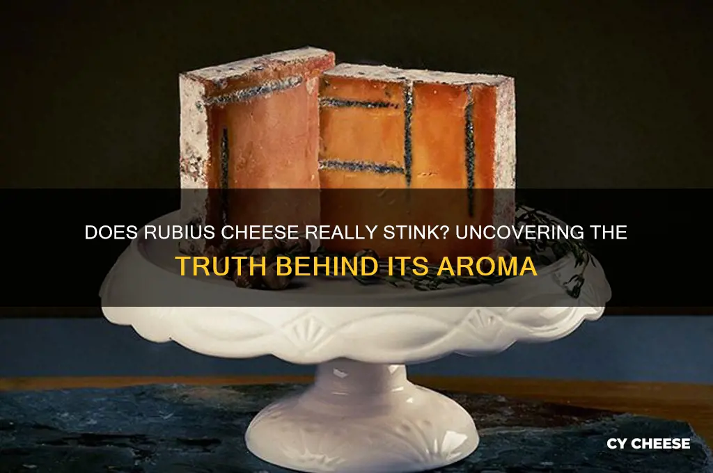 does rubius cheese stink