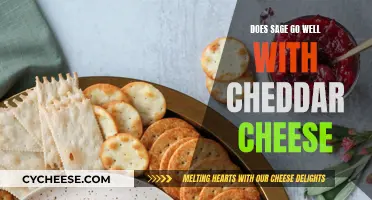 Sage and Cheddar: A Flavorful Match or a Culinary Misstep?