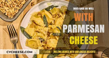 Sage and Parmesan: A Match Made in Heaven?