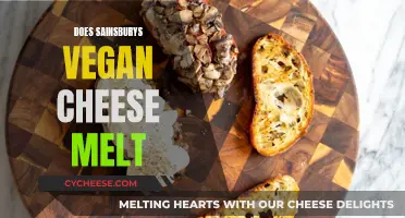 Vegan Cheese Conundrum: Does Sainsbury's Cheese Melt?