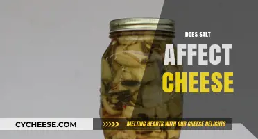 How Salt Influences Cheese Flavor, Texture, and Preservation