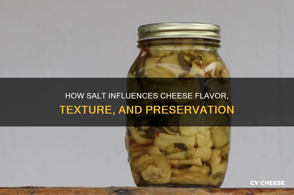 does salt affect cheese