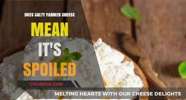 Is Salty Farmer Cheese Spoiled? Understanding Its Unique Flavor Profile