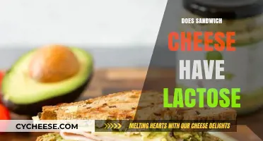 Does Sandwich Cheese Have Lactose? Uncovering the Truth for Sensitive Stomachs