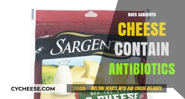 Does Sargento Cheese Contain Antibiotics? Uncovering the Truth